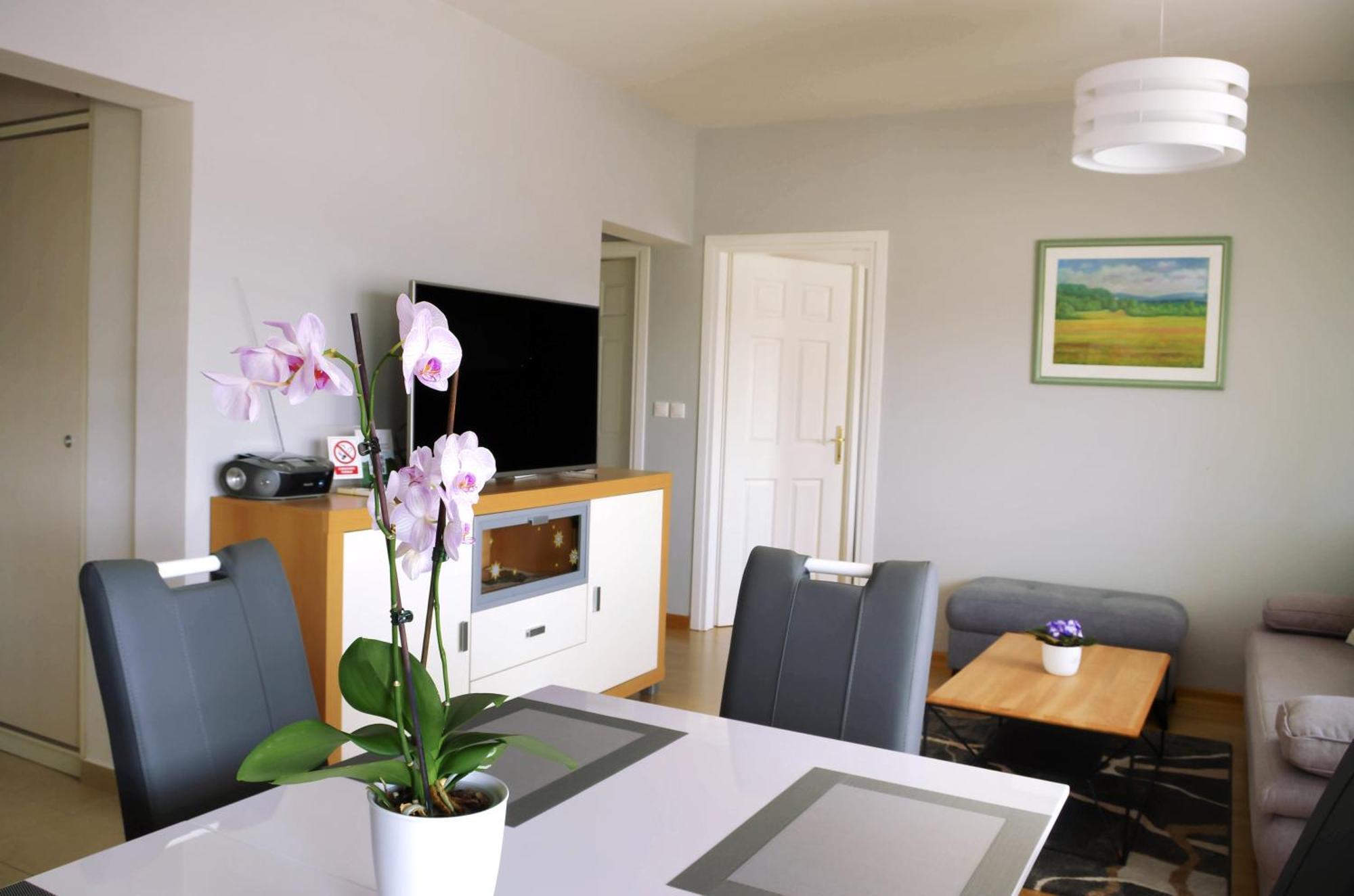 Apartman Dada Krapinske Toplice Buitenkant foto